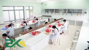 Cơ hội việc làm sau khi học trung cấp dược có tốt không? 5