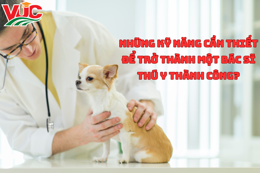 Những Kỹ Năng Cần Thiết Để Trở Thành Một Bác Sĩ Thú Y Thành Công? 